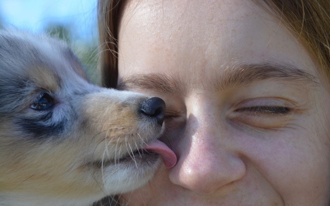 Do You Kiss Your Dog? Read This First